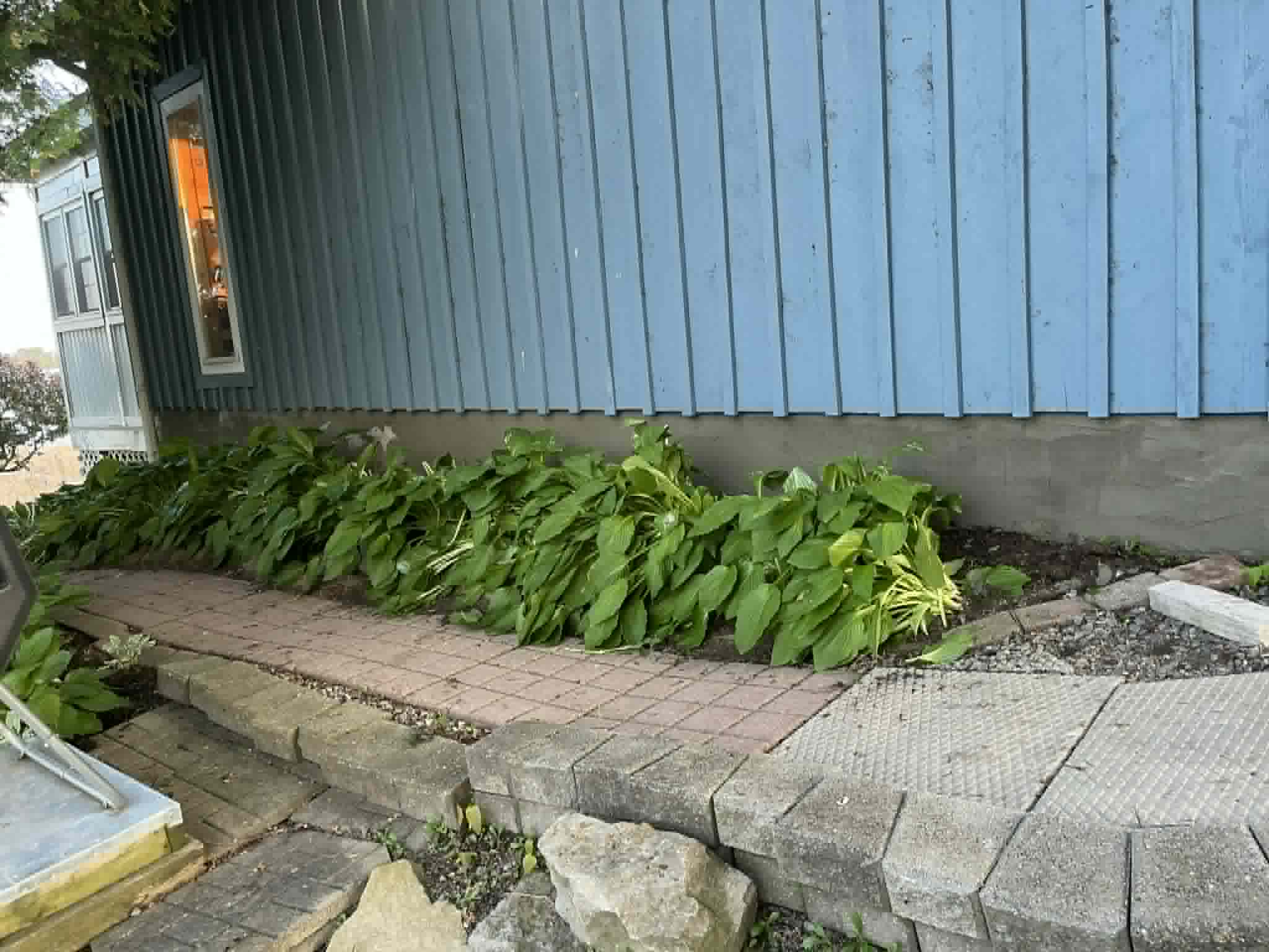 Driveway Sealcoating
